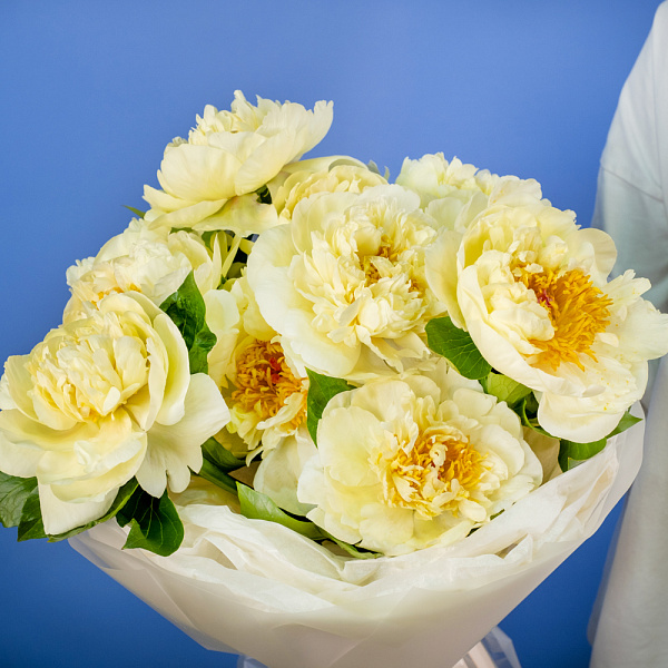 Купить Букет из 11 лимонных пионов (Премиум) в  с бесплатной доставкой: цена, фото, описание
