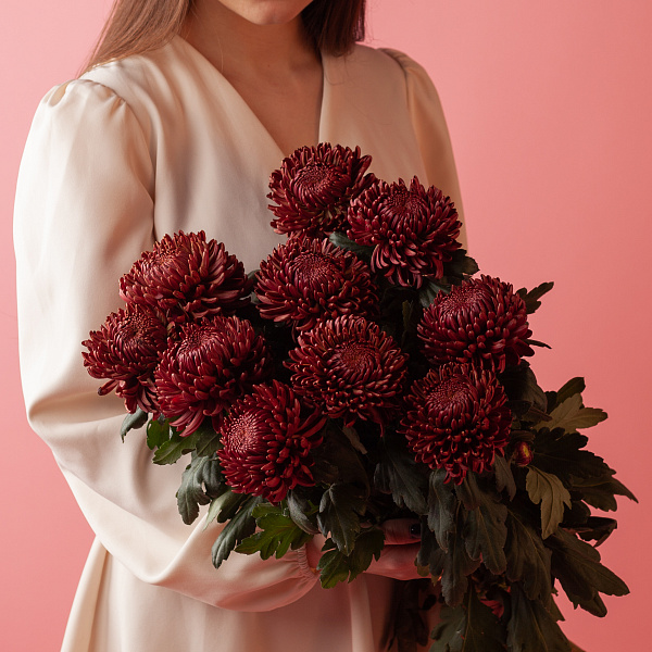 Купить Хризантемы Бигуди Ред поштучно в  с бесплатной доставкой: цена, фото, описание