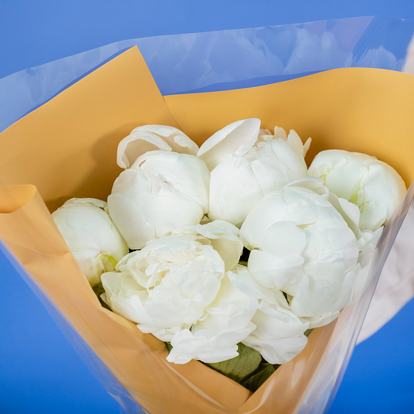 Купить Букет из 6 белых пионов (Премиум) в  с бесплатной доставкой: цена, фото, описание
