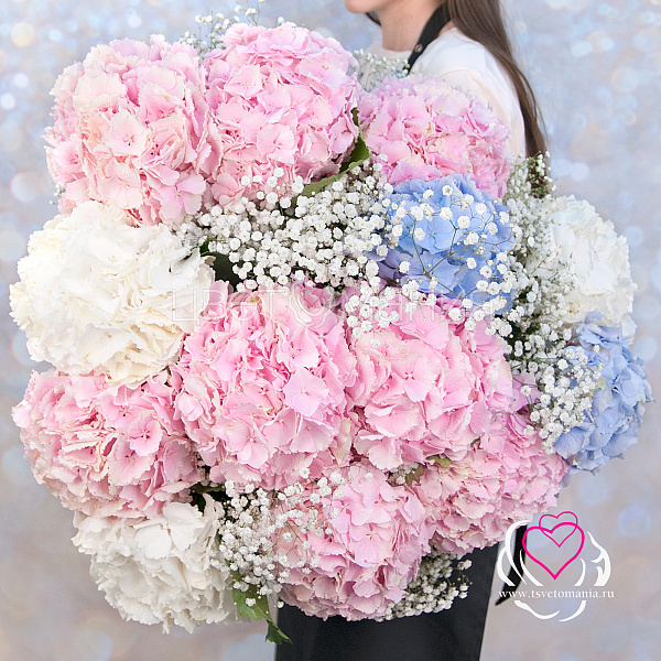 Купить Букет из гортензий с гипсофилами «Воздушный замок» в  с бесплатной доставкой: цена, фото, описание
