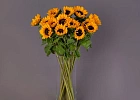 Купить Охапка подсолнухов в  с бесплатной доставкой: цена, фото, описание