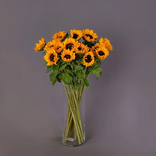 Купить Охапка подсолнухов в  с бесплатной доставкой: цена, фото, описание