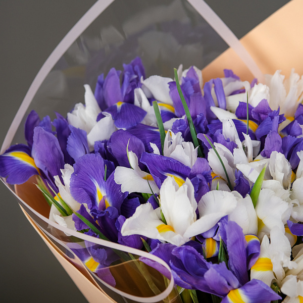 Купить Букет из 25 ирисов микс в упаковке в  с бесплатной доставкой: цена, фото, описание