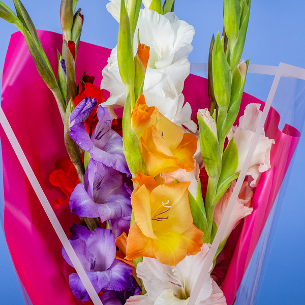 Купить Букет из 7 гладиолусов микс в упаковке в  с бесплатной доставкой: цена, фото, описание