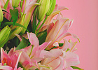 Купить Букет из 15 ароматных лилий в Санкт-Петербурге с бесплатной доставкой: цена, фото, описание