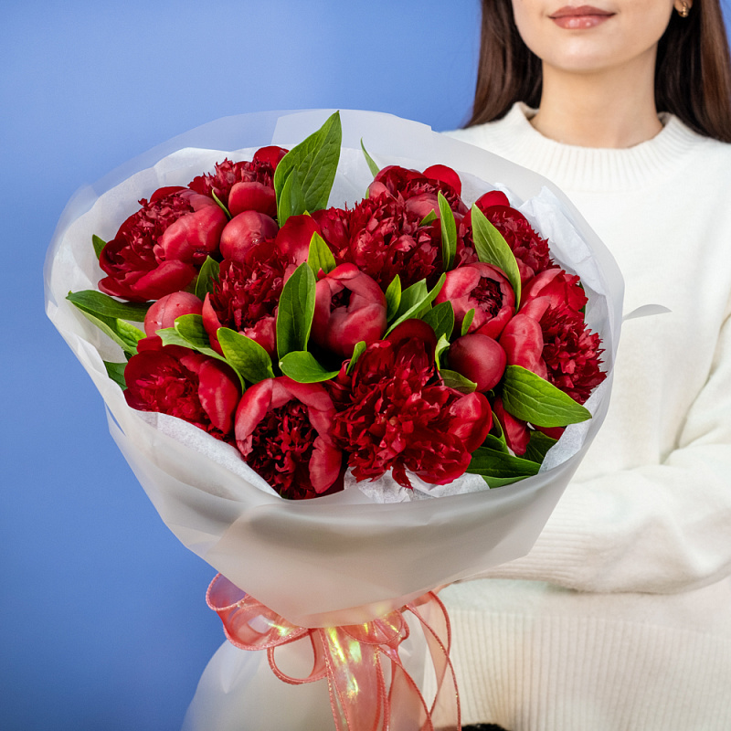 Букет из 15 бордовых пионов (Премиум)