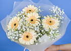Купить Букет из гербер с гипсофилами в  с бесплатной доставкой: цена, фото, описание