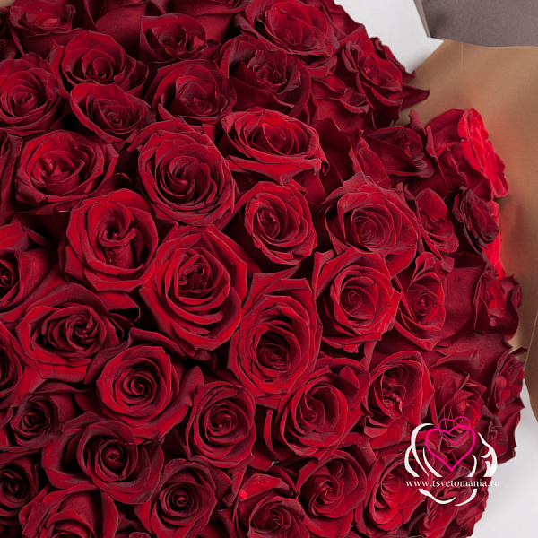 Купить Букет из 101 красной розы 40-50 см (Эквадор) в  с бесплатной доставкой: цена, фото, описание