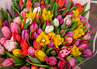 Купить Букет 101 тюльпан микс в  с бесплатной доставкой: цена, фото, описание