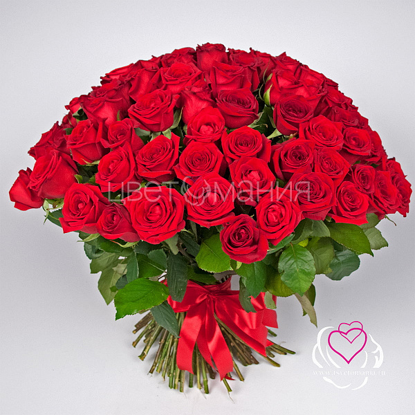 Купить 101 красная роза (Россия) 50 см в Санкт-Петербурге с бесплатной доставкой: цена, фото, описание