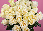 Купить Букет из 35 белых роз 50 см (Эквадор) под ленту в  с бесплатной доставкой: цена, фото, описание