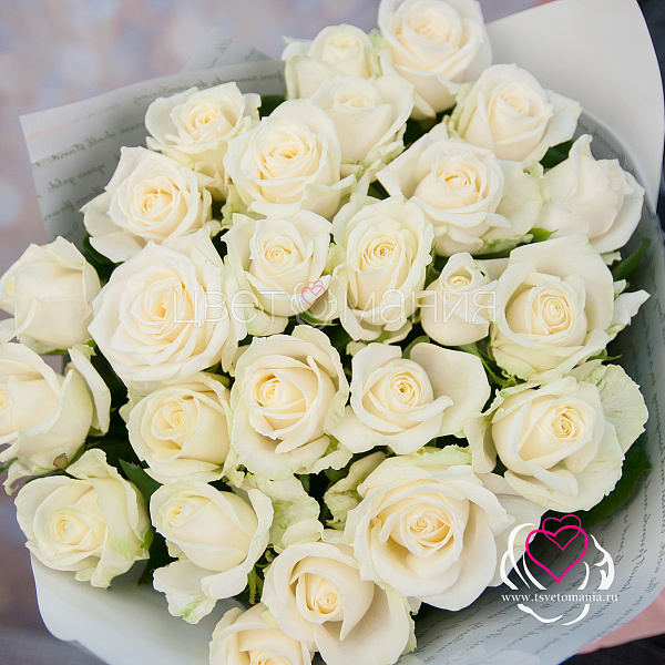 Купить Букет из 25 белых роз 60 см (Россия) в  с бесплатной доставкой: цена, фото, описание