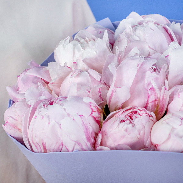 Купить Букет из 20 розовых пионов (Премиум) в  с бесплатной доставкой: цена, фото, описание