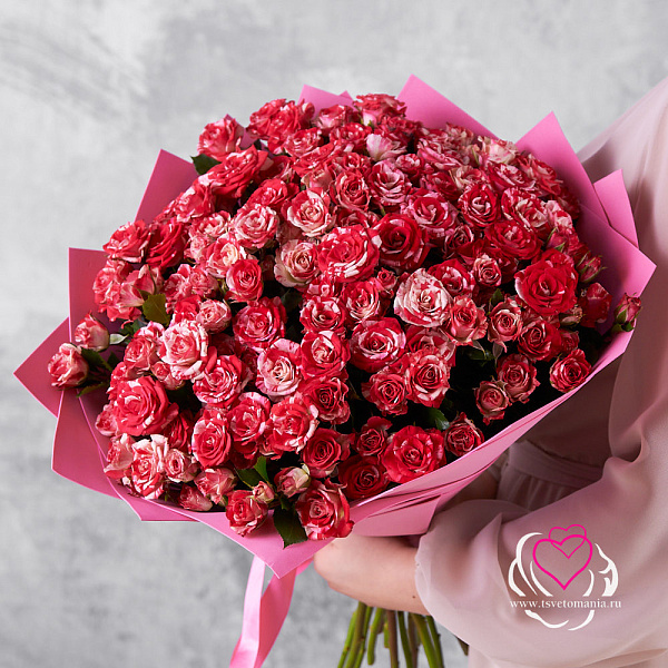 Купить Букет из 25 кустовых роз Фаерворк в  с бесплатной доставкой: цена, фото, описание