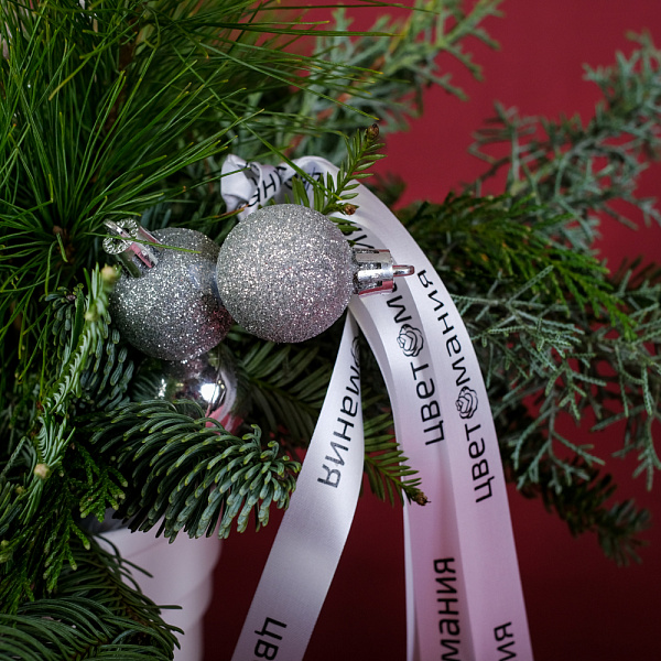 Купить Композиция со свечой «Щелкунчик» в  с бесплатной доставкой: цена, фото, описание