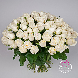 Купить 101 белая роза (Россия) 50 см в Санкт-Петербурге с бесплатной доставкой: цена, фото, описание