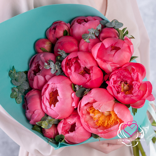 Купить Букет из 15 коралловых пионов (Премиум) с эвкалиптом в  с бесплатной доставкой: цена, фото, описание