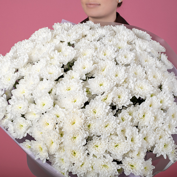 Купить Букет из 25 белых кустовых хризантем в  с бесплатной доставкой: цена, фото, описание