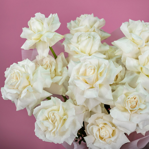 Купить Букет из 15 белых французских роз в  с бесплатной доставкой: цена, фото, описание