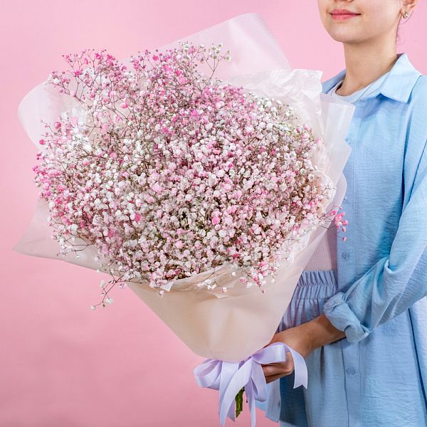 Купить Гипсофилы розово-белые в  с бесплатной доставкой: цена, фото, описание