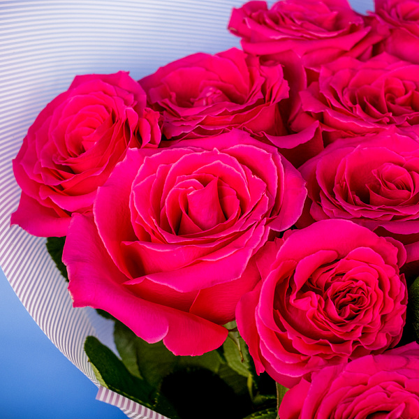 Купить Букет из 13 розовых роз 50 см (Эквадор) в  с бесплатной доставкой: цена, фото, описание