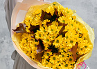 Купить Букет из 9 жёлтых хризантем с кверкусом в Санкт-Петербурге с бесплатной доставкой: цена, фото, описание