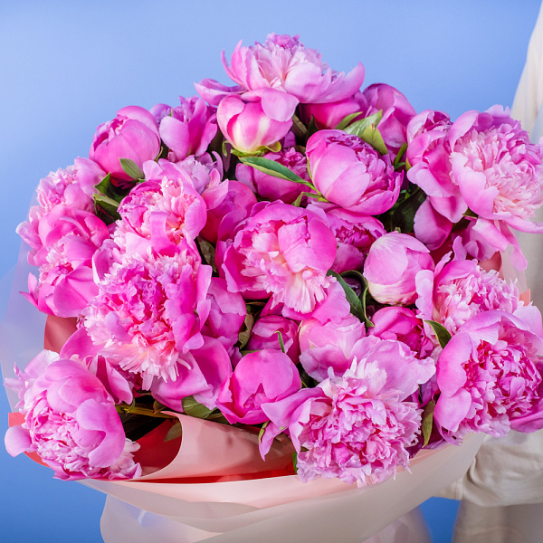 Купить Букет из 35 малиновых пионов (Премиум) в  с бесплатной доставкой: цена, фото, описание