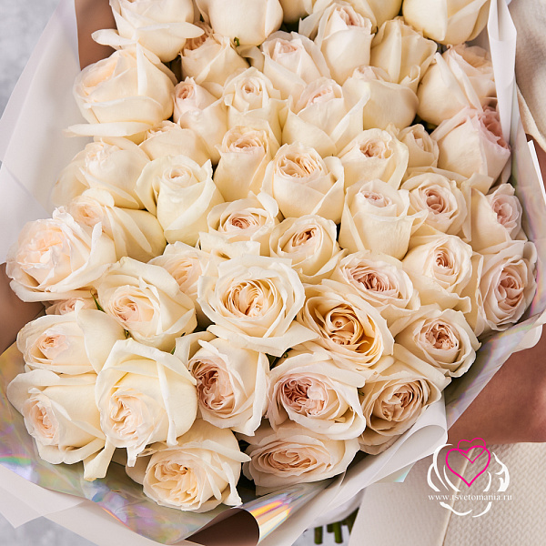 Купить Букет из 51 ароматной розы Вайт Охара в  с бесплатной доставкой: цена, фото, описание
