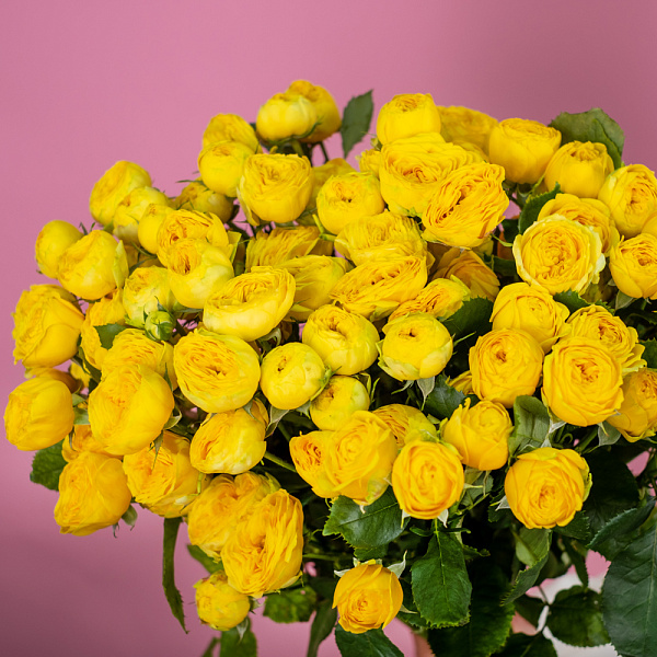 Купить Кустовая желтая роза в  с бесплатной доставкой: цена, фото, описание