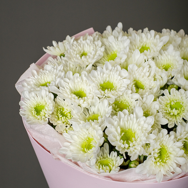 Купить Букет из 9 кустовых хризантем Радость в  с бесплатной доставкой: цена, фото, описание