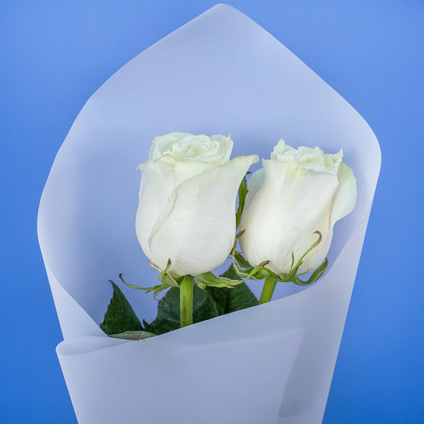 Купить Букет из 2 белых роз 50 см (Эквадор) в  с бесплатной доставкой: цена, фото, описание