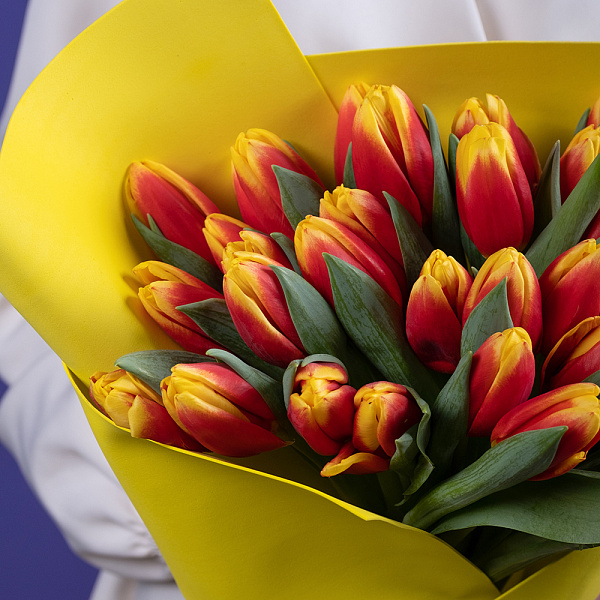 Купить Букет 35 красно-желтых тюльпанов в  с бесплатной доставкой: цена, фото, описание
