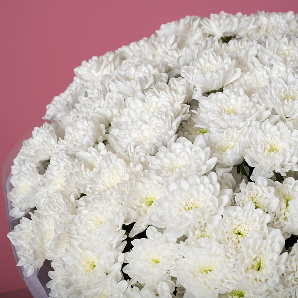 Купить Букет из 25 белых кустовых хризантем в  с бесплатной доставкой: цена, фото, описание