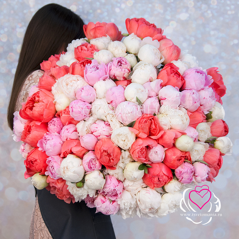 Букет из 101 пиона микс (Премиум)