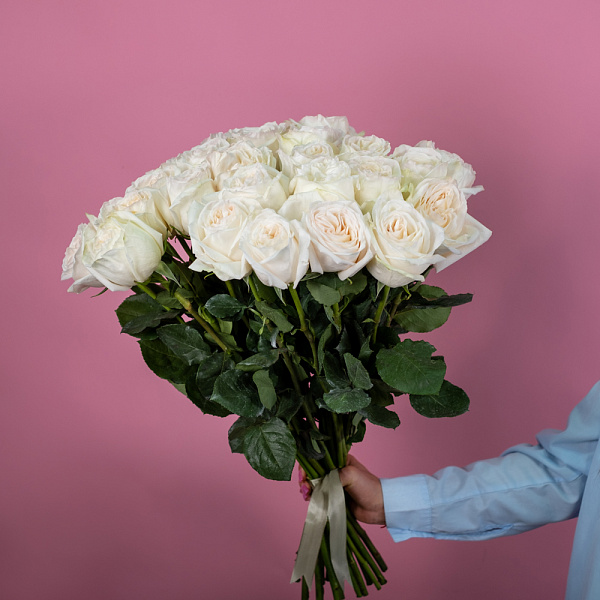 Купить Пионовидная роза Вайт Охара 50 см (Эквадор) в  с бесплатной доставкой: цена, фото, описание