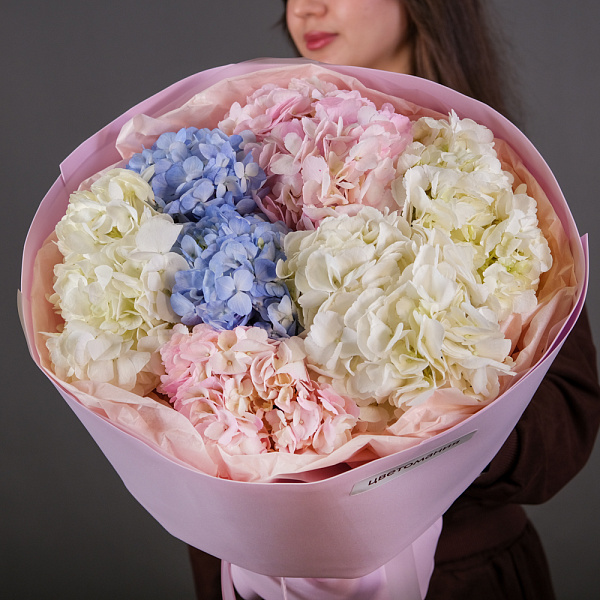 Купить Букет из 7 гортензий в упаковке в  с бесплатной доставкой: цена, фото, описание