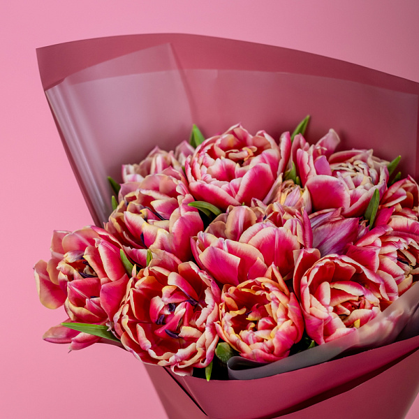 Купить Букет из 15 пионовидных тюльпанов Колумбус в  с бесплатной доставкой: цена, фото, описание