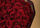 Купить Букет из 51 красной розы 40-50 см (Эквадор) в Санкт-Петербурге с бесплатной доставкой: цена, фото, описание