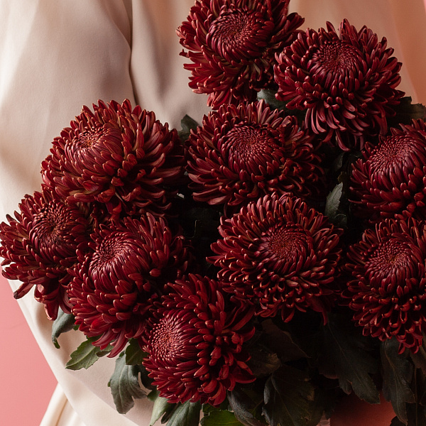Купить Хризантемы Бигуди Ред поштучно в  с бесплатной доставкой: цена, фото, описание