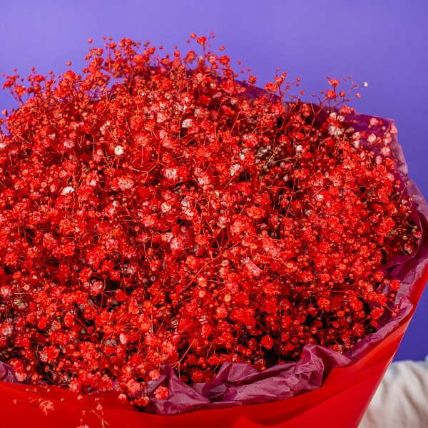 Купить Букет из бордовых гипсофил в  с бесплатной доставкой: цена, фото, описание