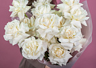 Купить Букет из 15 белых французских роз в  с бесплатной доставкой: цена, фото, описание