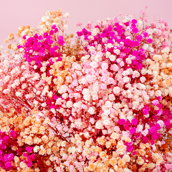 Купить Стабилизированная гипсофила в  с бесплатной доставкой: цена, фото, описание