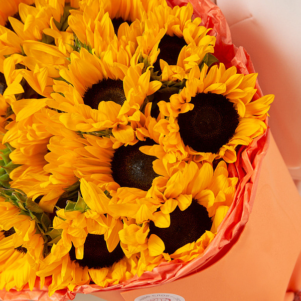 Купить Букет из 15 подсолнухов в  с бесплатной доставкой: цена, фото, описание