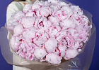 Купить Букет из 35 розовых пионов (Премиум) в  с бесплатной доставкой: цена, фото, описание