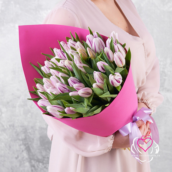 Купить Букет 51 бело-фиолетовый тюльпан в Санкт-Петербурге с бесплатной доставкой: цена, фото, описание