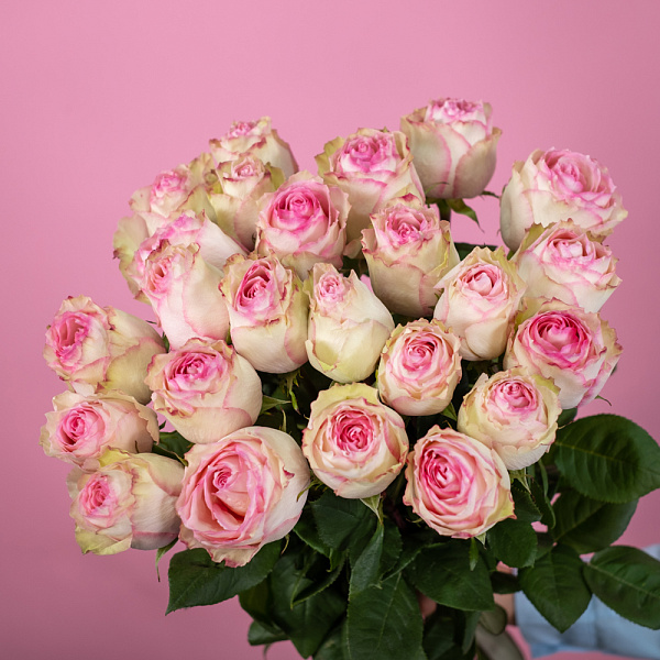 Купить Роза Эсперанс 70 см (Эквадор) поштучно в  с бесплатной доставкой: цена, фото, описание