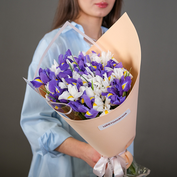 Купить Букет из 25 ирисов микс в упаковке в  с бесплатной доставкой: цена, фото, описание