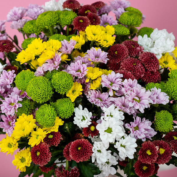 Купить Хризантемы сантини микс поштучно в  с бесплатной доставкой: цена, фото, описание