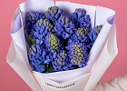 Купить Букет из 11 синих гиацинтов в  с бесплатной доставкой: цена, фото, описание