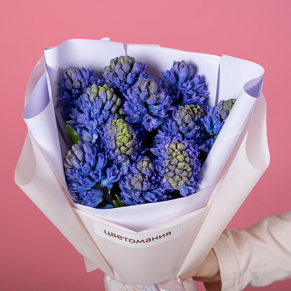 Купить Букет из 11 синих гиацинтов в  с бесплатной доставкой: цена, фото, описание